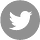 social-twitter-large