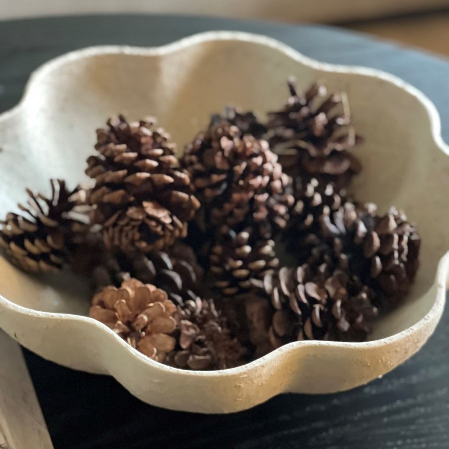 Bowl with pinecones.