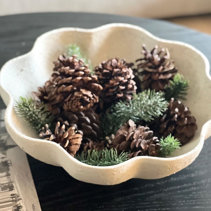 Bowl with pinecones and spruce.
