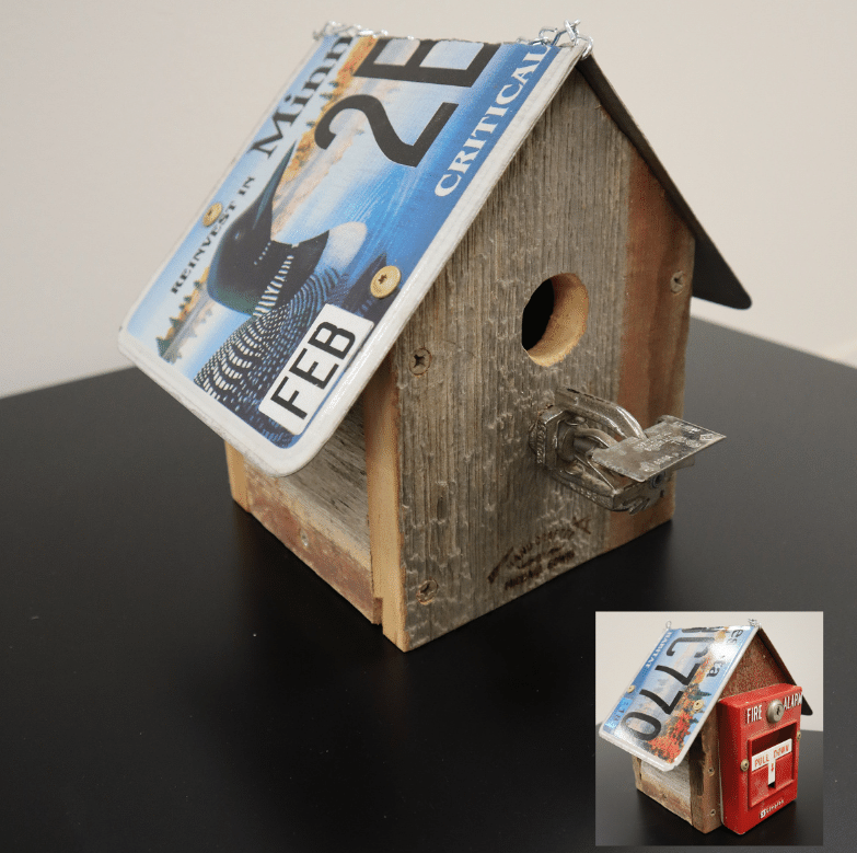 Birdhouse with license plate.